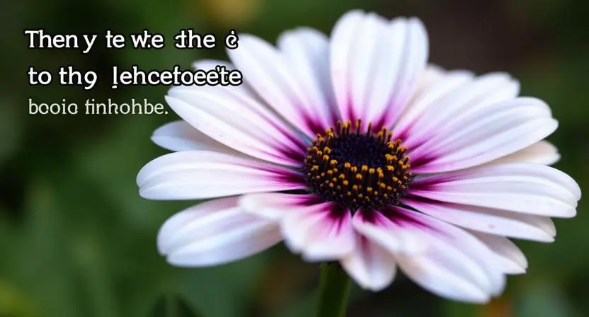 funny flower captions
